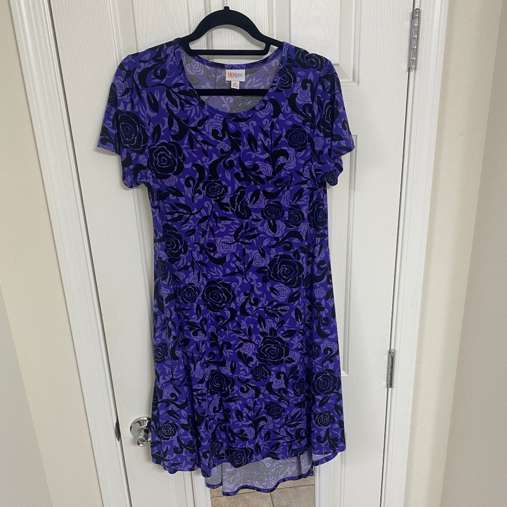 Gently Used - LulaRoe Carly (XS) Dress